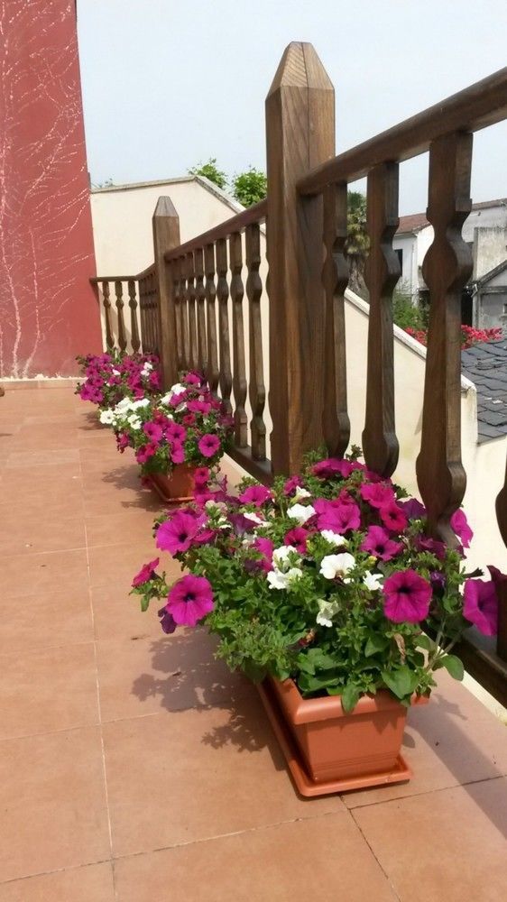 La Casona De Sarria Hostel Εξωτερικό φωτογραφία